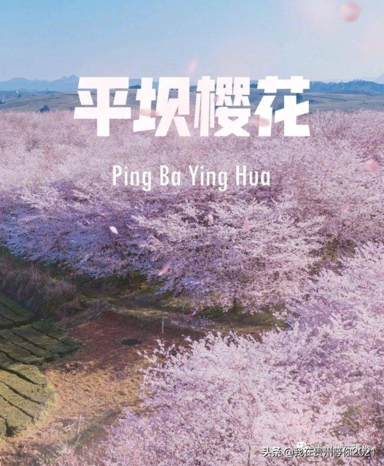都市车界|2023年长城汽车营收、利润实现双增长