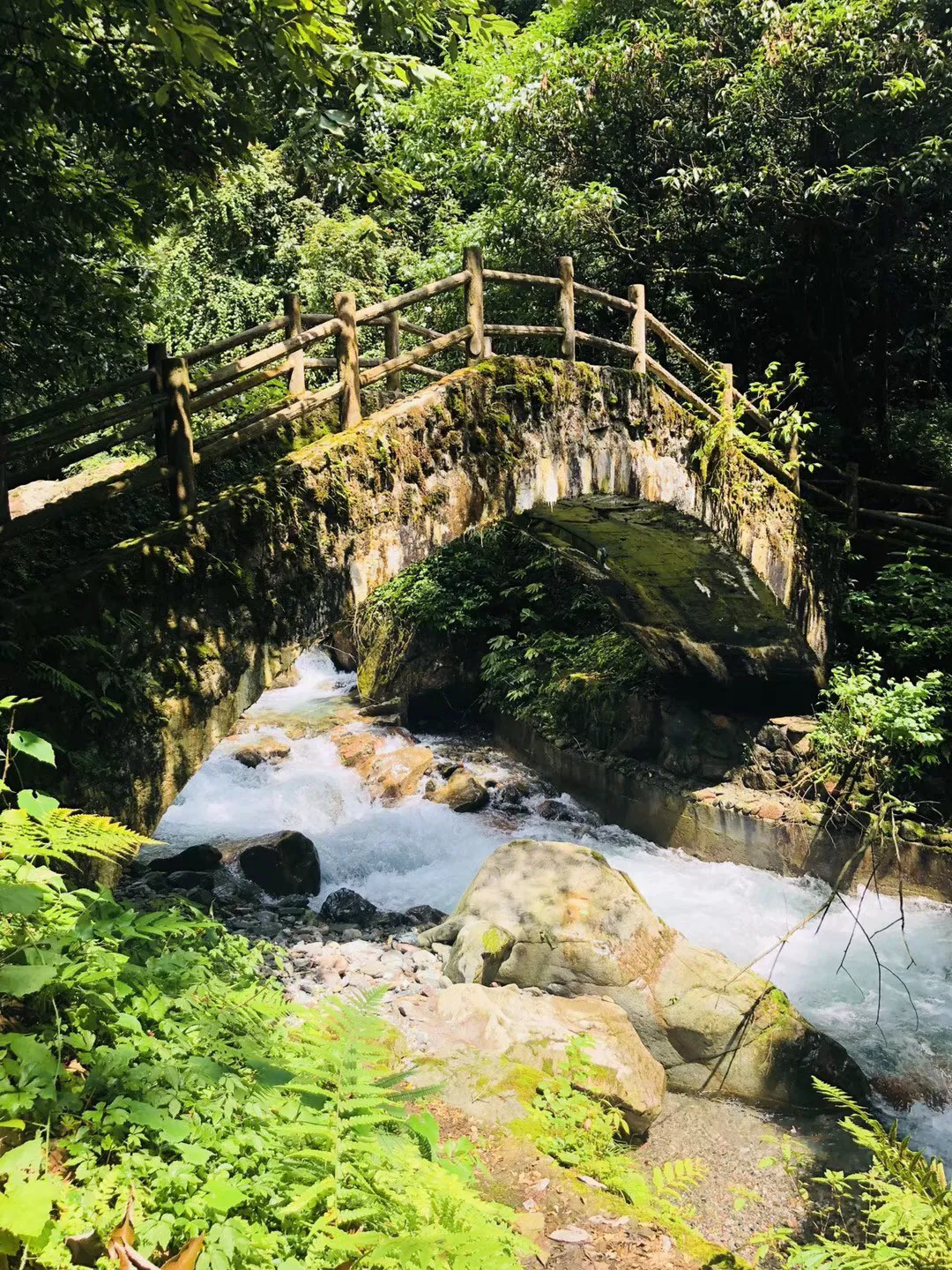 蓝色怪物救援