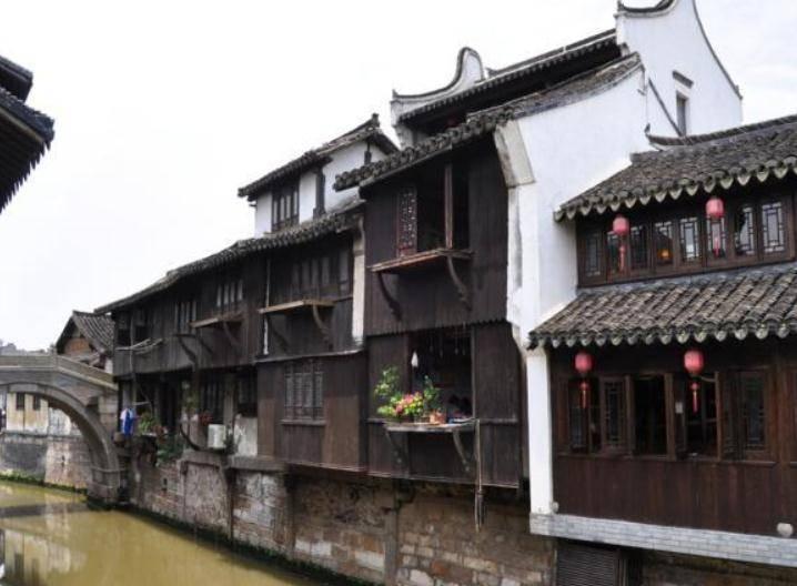 跳舞草是什么？游戏画面